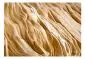 Fototapeta - Wavy sandstone forms-2