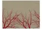 Fototapeta - Red-hot branches-2