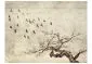 Fototapeta - Flock of birds-2