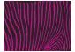 Fototapeta - Zebra pattern (fioletowy)-2