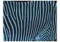 Fototapeta - Zebra pattern (turkus)-2