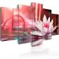 Obraz - Amarantowy lotos-1