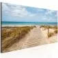 Obraz - Wietrzna plaża-1