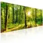 Obraz - Magiczny las-1