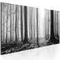 Obraz - Czarno-biały las-1