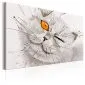 Obraz - Szary kot-1