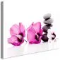 Obraz - Spokojne malwy (1-częściowy) różowy-1