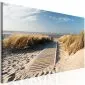 Obraz - Dzika plaża-1
