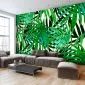 Fototapeta - Tropikalne liście-1
