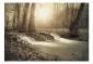 Fototapeta - Leśna kaskada-2