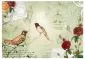 Fototapeta - Vintage birds-2