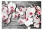 Fototapeta - Oziębłe orchidee-2