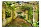 Fototapeta - Pergola-2