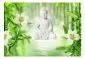 Fototapeta - Budda i natura-2