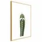 Plakat Żywy kaktus 21x30 cm z ramą złotą z marginesem | MIRAT.