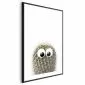 Plakat Kaktus z oczami 40x60 cm z ramą czarną z marginesem | MIRAT.