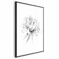 Plakat Rysowane kwiaty 21x30 cm z ramą czarną z marginesem | MIRAT.