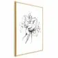 Plakat Rysowane kwiaty 29,7x42 cm z ramą złotą bez marginesu | MIRAT.