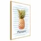Plakat Ananas i paski 21x30cm z ramą złotą bez marginesu | MIRAT.  kolekcja b-B-0348-ao-a