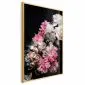 Plakat Bukiet w mroku 21x30 cm z ramą złotą bez marginesu | MIRAT.