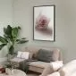 Plakat Różany cień 29,7x42 cm z ramą czarną z marginesem | MIRAT.