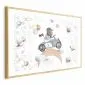 Plakat Miś w wyścigówce 60x40 cm z ramą złotą z marginesem | MIRAT.