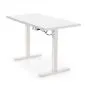 Metalowe biurko B54 120x60cm białe z regulacją wysokości I sklep meblowy MIRAT.