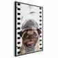 Plakat Mops w czapce 60x90 cm z ramą czarną bez marginesu | MIRAT.