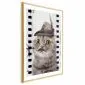 Plakat Kot w kapeluszu 40x60 cm z ramą złotą z marginesem | MIRAT.