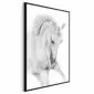Plakat Biały koń 21x30 cm z ramą czarną bez marginesu | MIRAT.