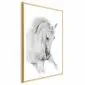 Plakat Biały koń 40x60 cm z ramą złotą z marginesem | MIRAT.