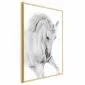 Plakat Biały koń 60x90 cm z ramą złotą bez marginesu | MIRAT.