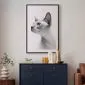 Plakat bezwłosy kot 40x60 cm z ramą czarną z marginesem | MIRAT.