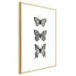 Plakat Trzy motyle 21x30 cm z ramą złotą z marginesem | MIRAT.