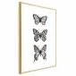 Plakat Trzy motyle 60x90 cm z ramą złotą bez marginesu | MIRAT.