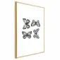 Plakat Cztery motyle 21x30 cm z ramą złotą z marginesem | MIRAT.