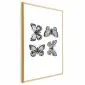 Plakat Cztery motyle 29,7x42 cm z ramą złotą bez marginesu | MIRAT.