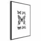 Plakat Pięć motyli 21x30 cm z ramą czarną z marginesem | MIRAT.