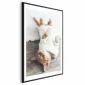 Plakat Leniwy kot 40x60 cm z ramą czarną z marginesem | MIRAT.