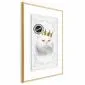 Plakat Król kot 60x90 cm z ramą złotą z marginesem | MIRAT.