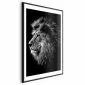 Plakat Niebieskooki lew 29,7x42 cm z ramą czarną z marginesem | MIRAT.