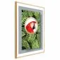 Plakat Papuga w dżungli 29,7x42 cm z ramą złotą z marginesem | MIRAT.