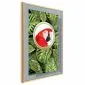 Plakat Papuga w dżungli 40x60 cm z ramą złotą bez marginesu | MIRAT.