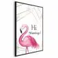 Plakat Hi flamingo 40x60 cm z ramą czarną bez marginesu | MIRAT.