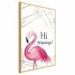 Plakat Hi flamingo 60x90 cm z ramą złotą bez marginesu | MIRAT.