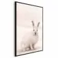 Plakat Strachliwe spojrzenie 60x90 cm z ramą czarną bez marginesu | MIRAT.