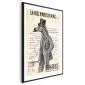 Plakat La Vie Parisienne 29,7x42 cm z ramą czarną z marginesem | MIRAT.