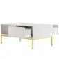 Stolik kawowy AUSTIN 100x60 biały/złoty do salonu w stylu glamour I sklep meblowy MIRAT. styl GLAMOUR