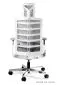 Fotel biurowy SPINELLY biały/czarny/szary ergonomiczny | MIRAT.