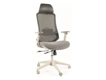 Fotel ergonomiczny ERGON szary